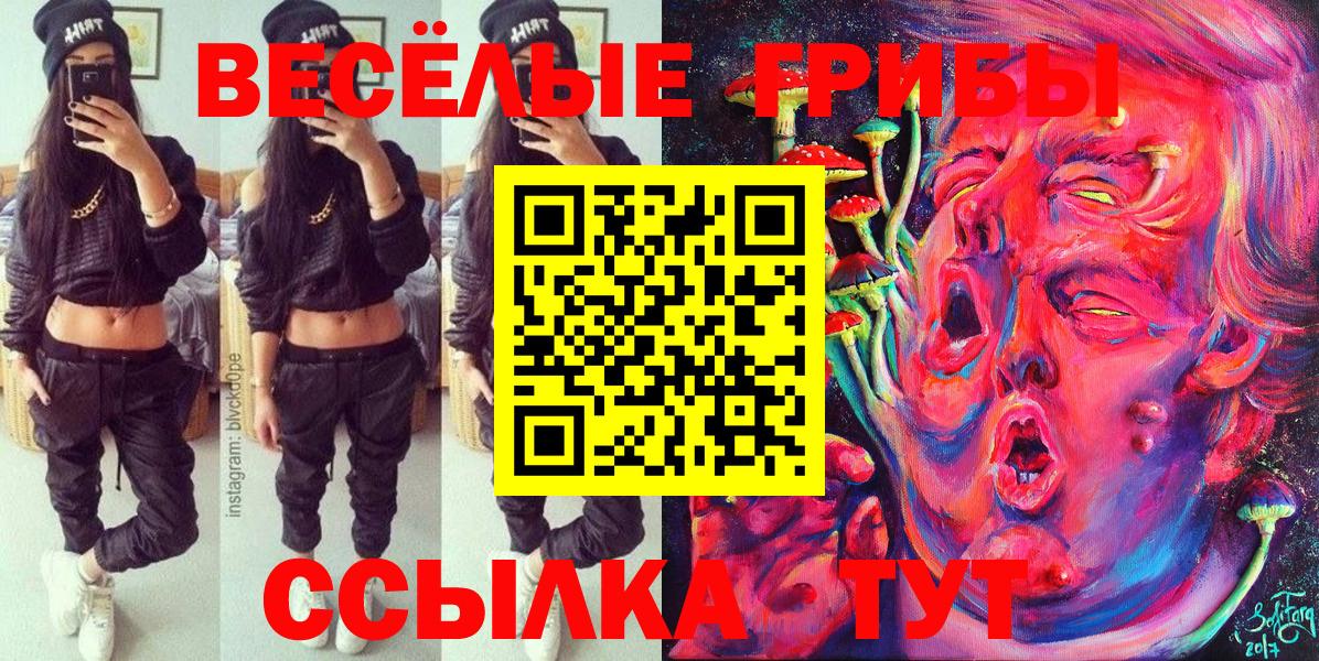 Псилоцибиновые грибы Cubensis  Вход с VPN  Галлюциногенные грибы Cubensis  Родники 